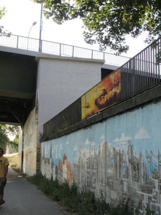 Zebrating-art: niezwykłe obrazy na ogrodzeniach 8