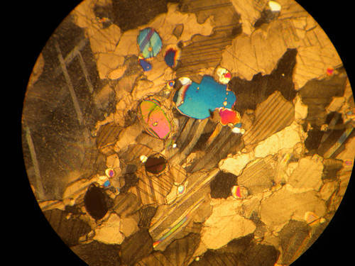 microscopio
