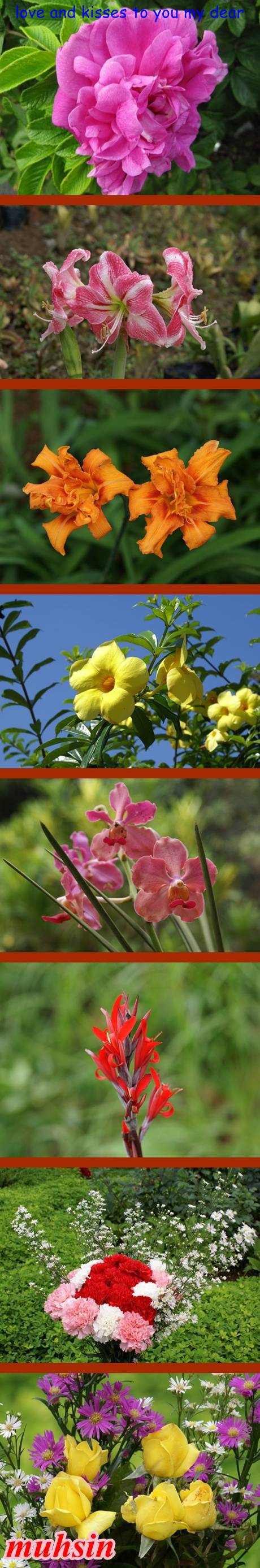 Image Hosted by UploadHouse.com