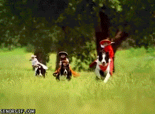 Animowane gify #14 4