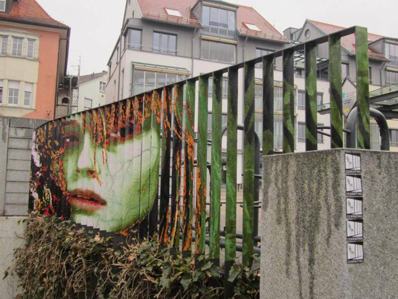 800x600 Street Art: Zebrating 2