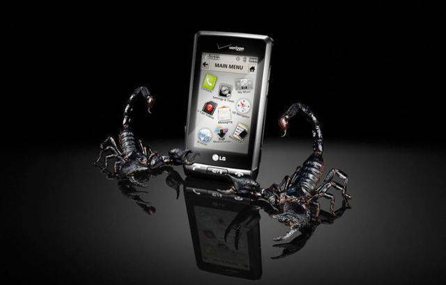 Immagine