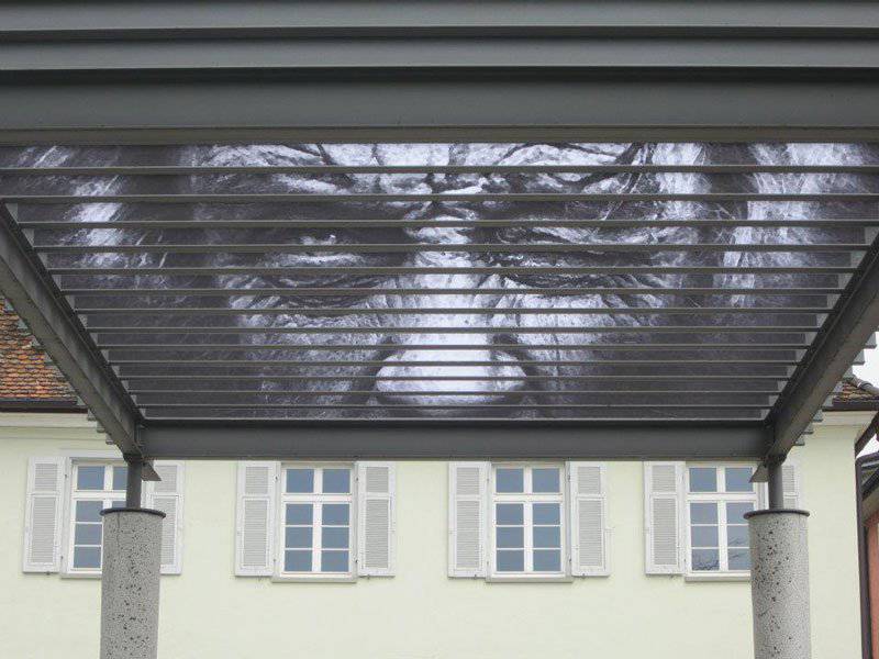 800x600 Street Art: Zebrating 14