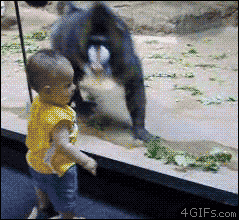 Animowane gify #194 2