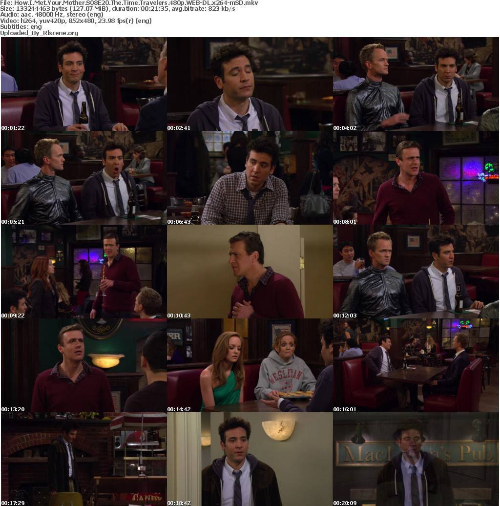 How I Met Your Mother S08E20 The Time Travelers 480p WEB DL x264 mSD