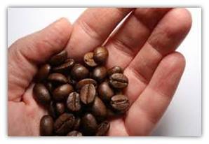 green coffee bean extract with raspberry ketones