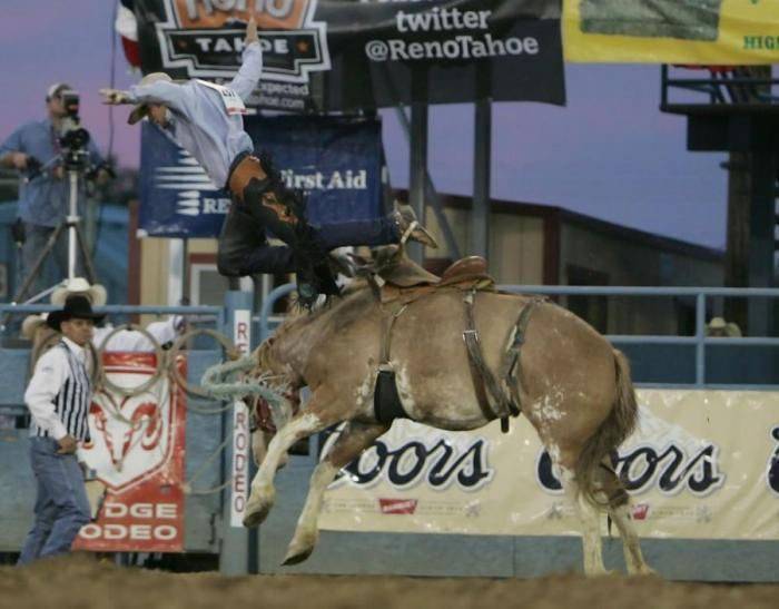 Niebezpieczne rodeo 10