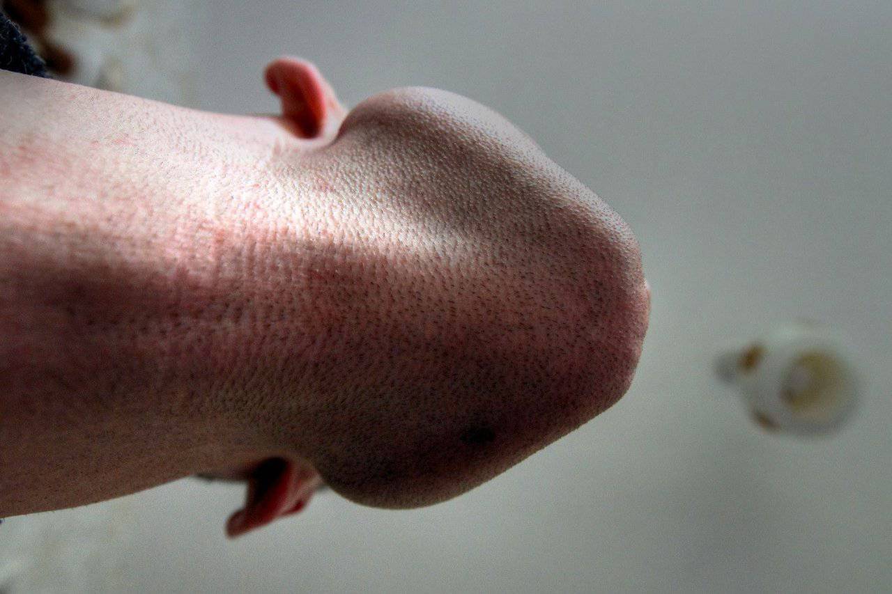 1280x853 Foto pobudka #941 12