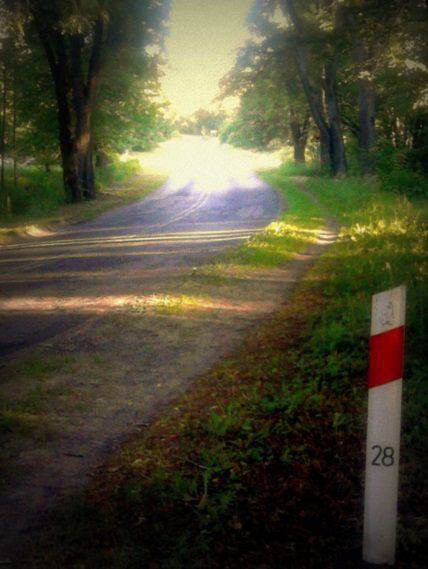 sztuka nowatorska 5