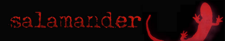 Salamander S01E10 SUBBED 720p HDTV x264-C4TV Salamander S01E10 SUBBED 720p HDTV x264-C4TV