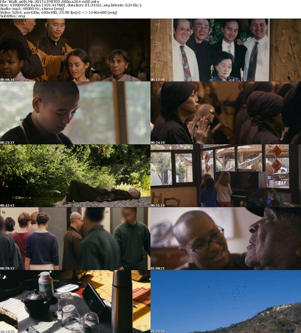 Walk with Me 2017 LIMITED 480p x264-mSD Walk with Me 2017 LIMITED 480p x264-mSD