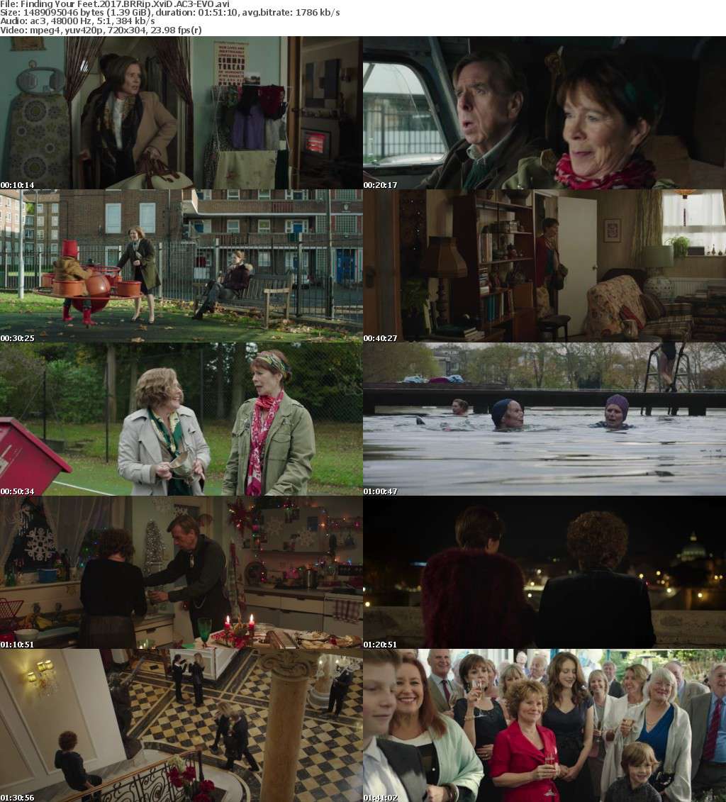 Finding Your Feet (2017) BRRip XviD AC3-EVO