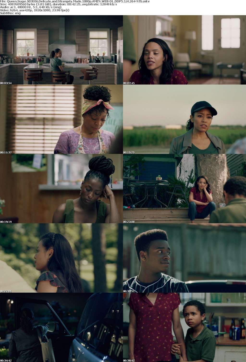 Queen Sugar S03E06 Delicate and Strangely Made 1080p AMZN WEB-DL DDP5 1 H 264-NTb Queen Sugar S03E06 Delicate and Strangely Made 1080p AMZN WEB-DL DDP5 1 H 264-NTb
