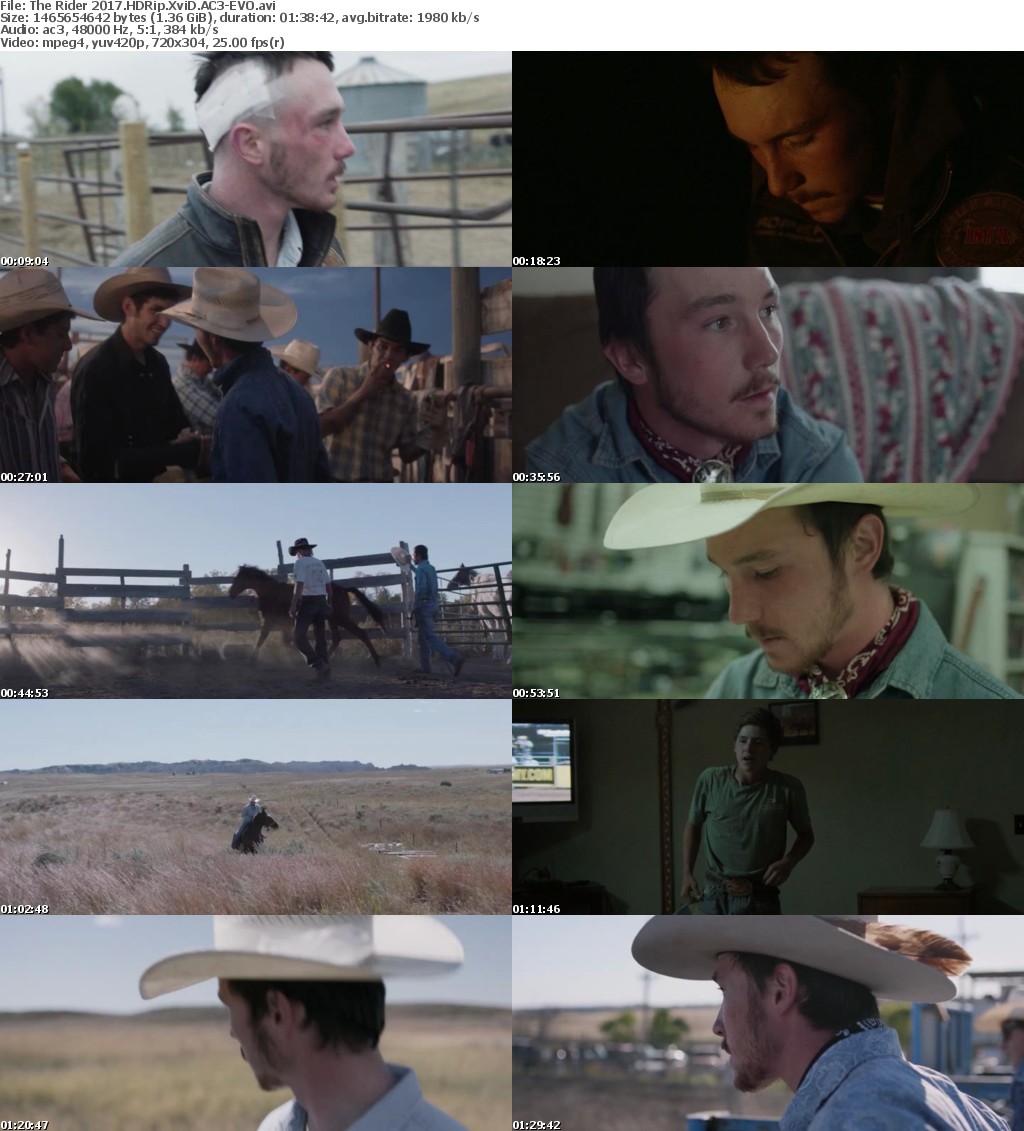 The Rider (2017) HDRip XviD AC3-EVO