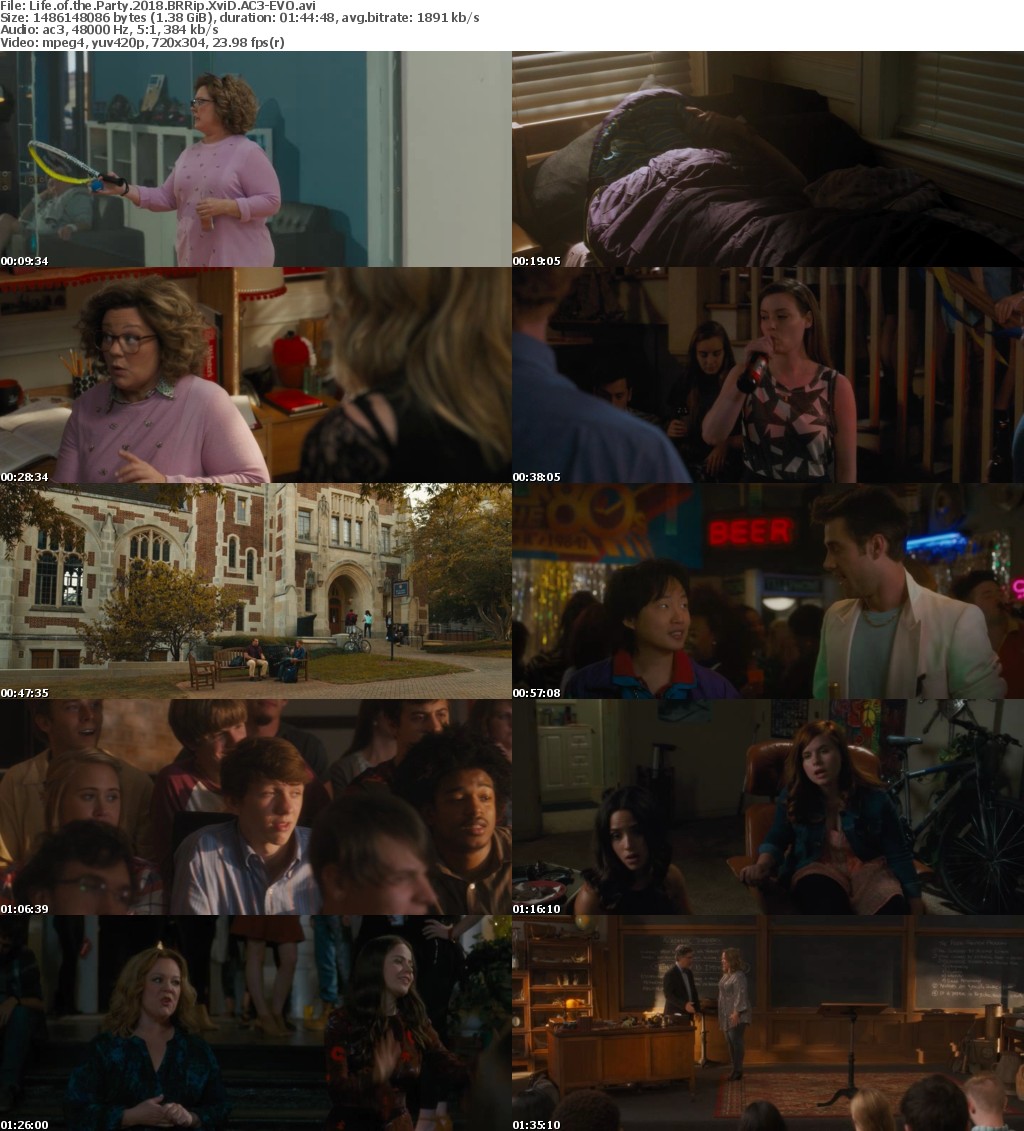 Life of the Party (2018) BRRip XviD AC3-EVO