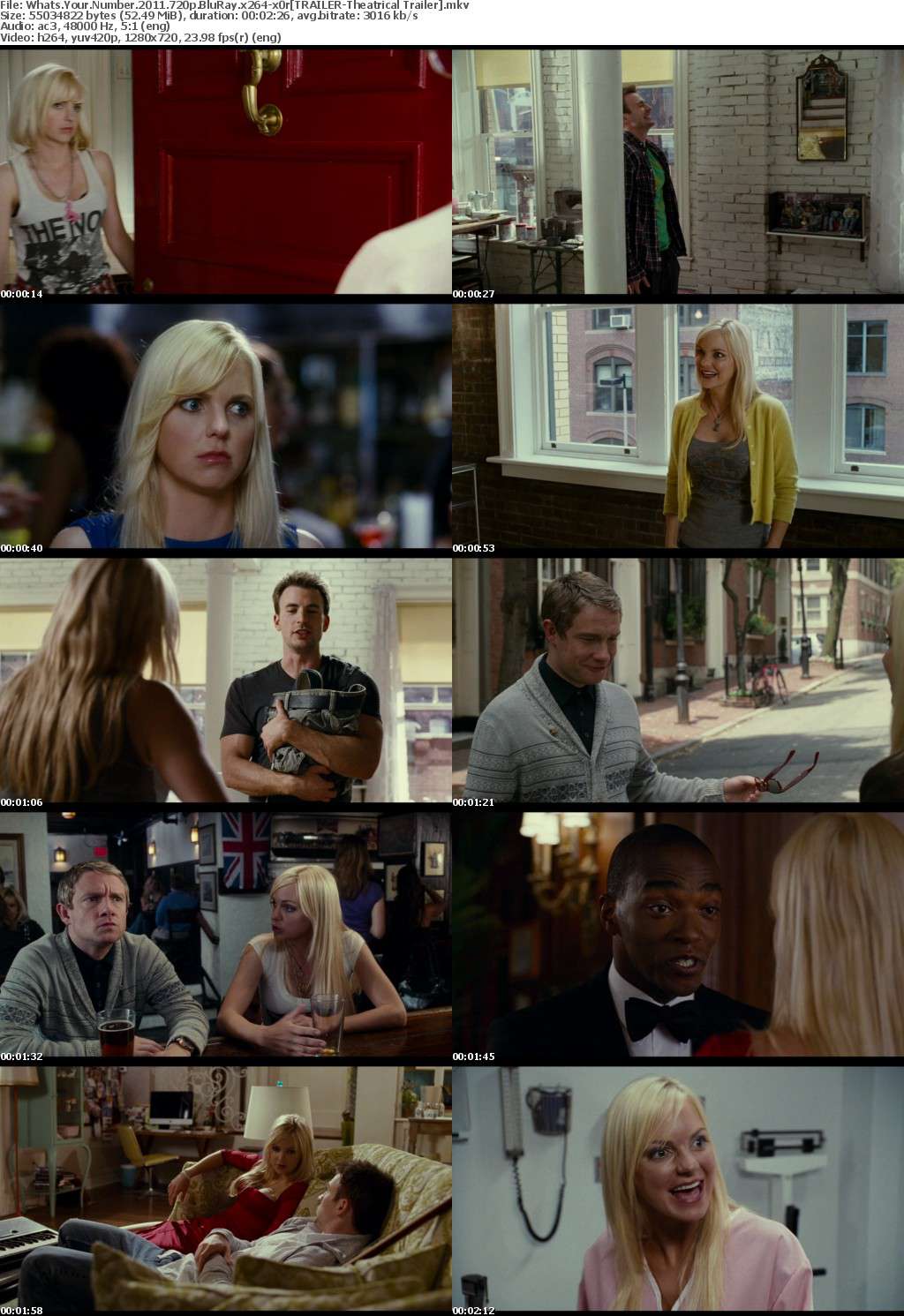 Whats Your Number (2011) 720p BluRay x264-x0r