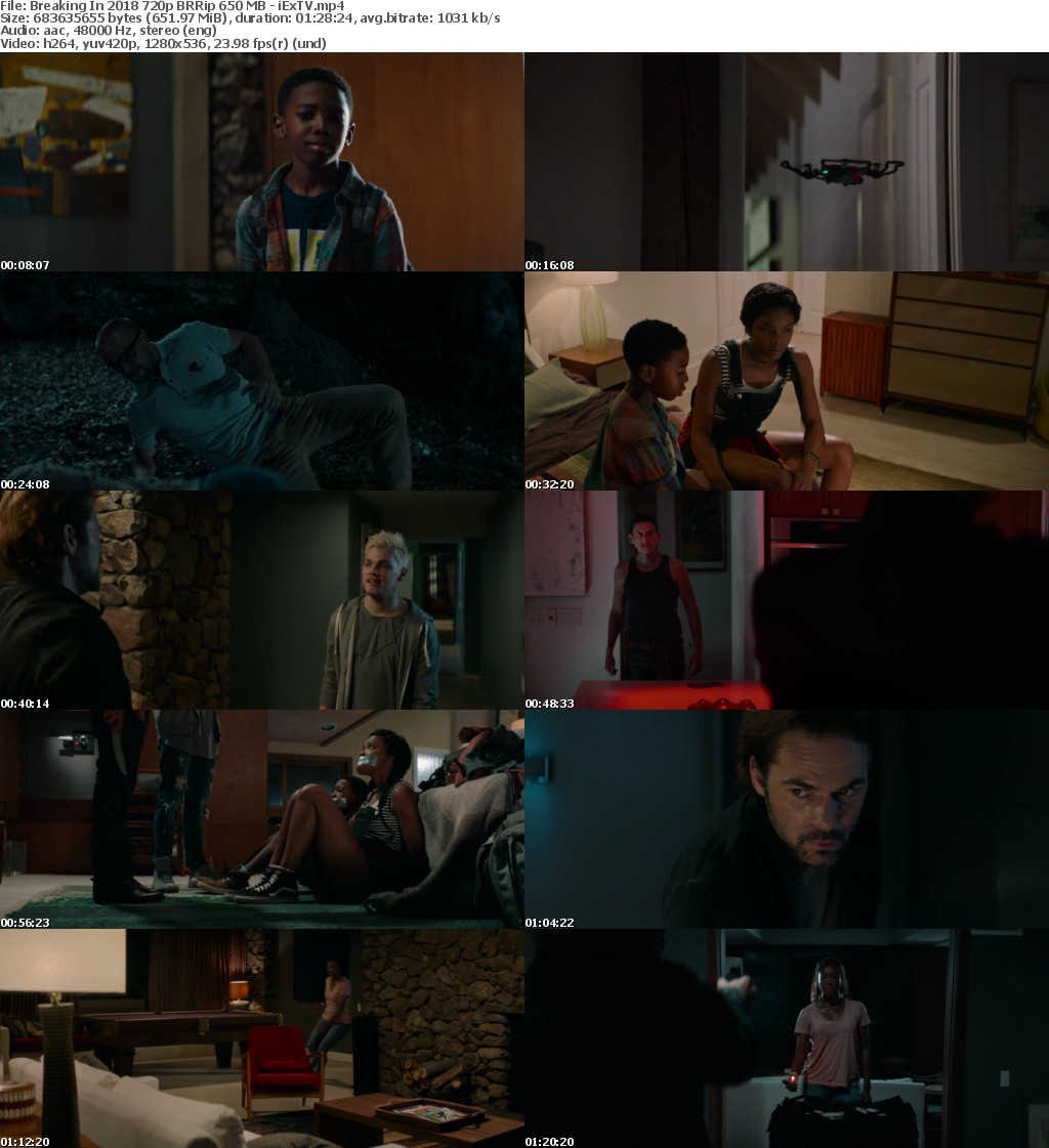 Breaking In (2018) 720p BRRip 650 MB - iExTV