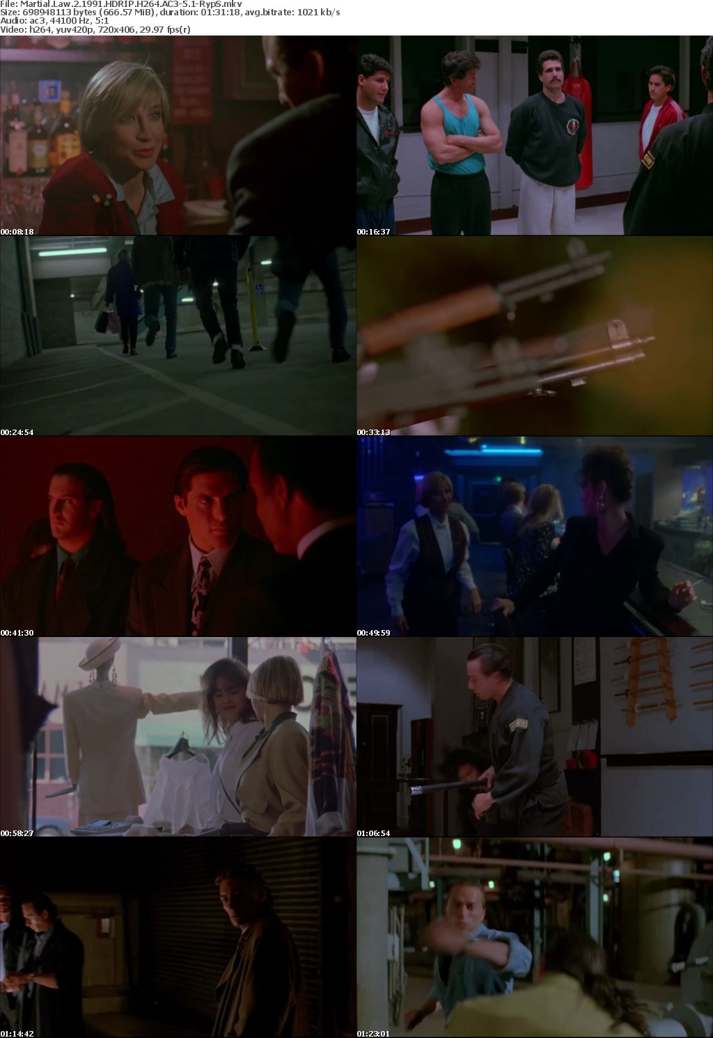 Martial Law 2 1991 HDRIP H264 AC3-5 1-RypS Martial Law 2 1991 HDRIP H264 AC3-5 1-RypS