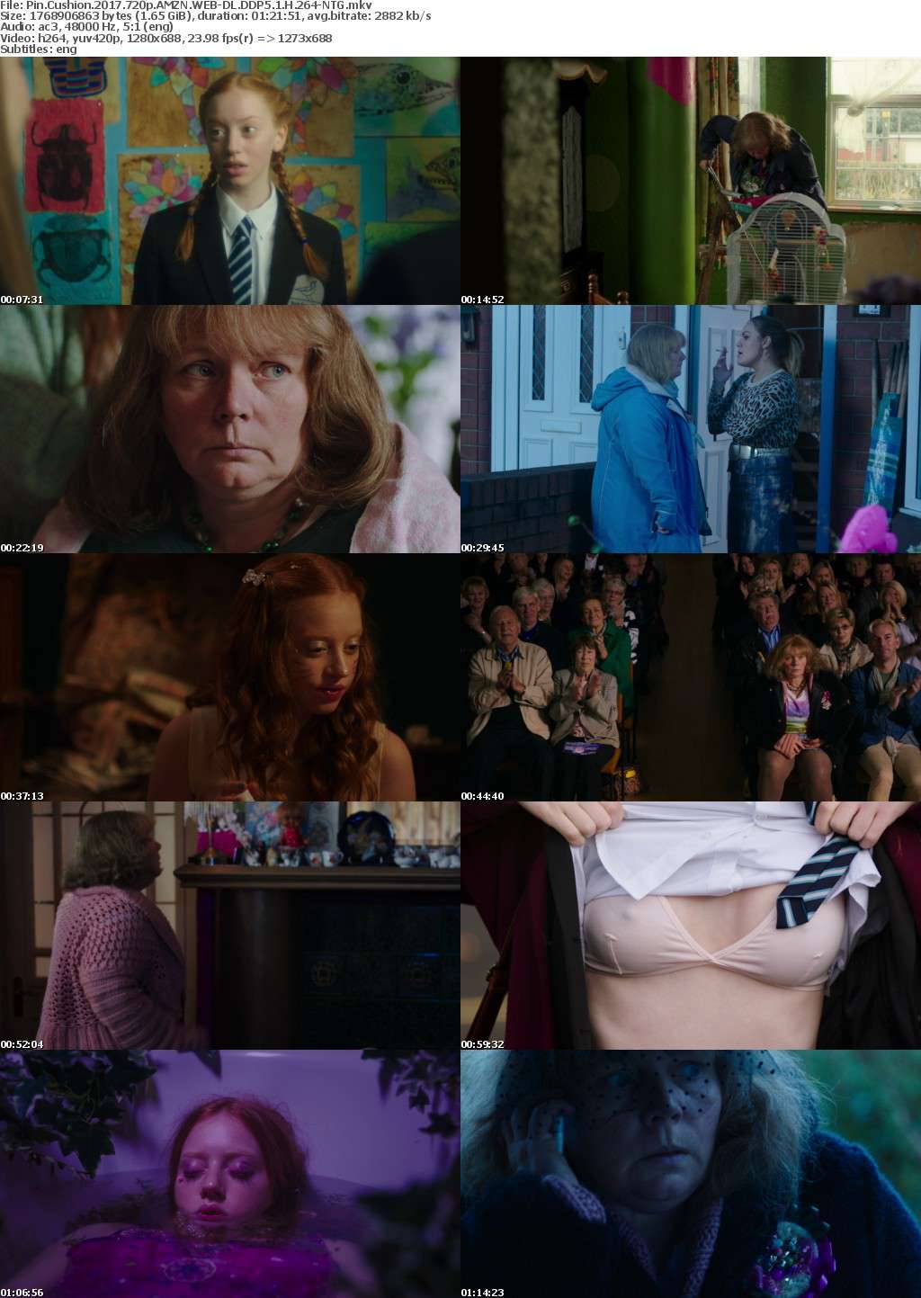 Pin Cushion (2017) 720p AMZN WEB-DL DDP5.1 H264-NTG