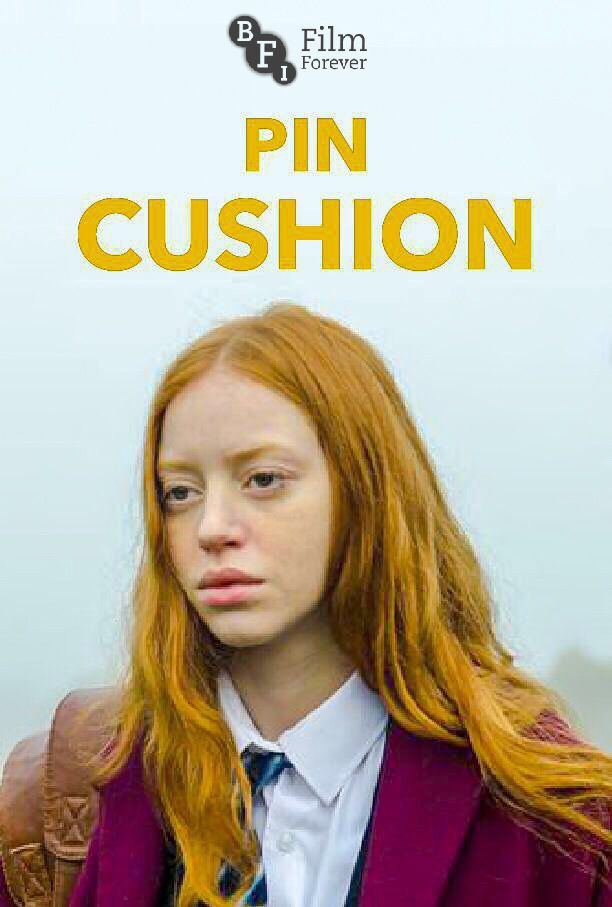 Pin Cushion (2017) 1080p AMZN WEBRip DDP5.1 x264-NTG