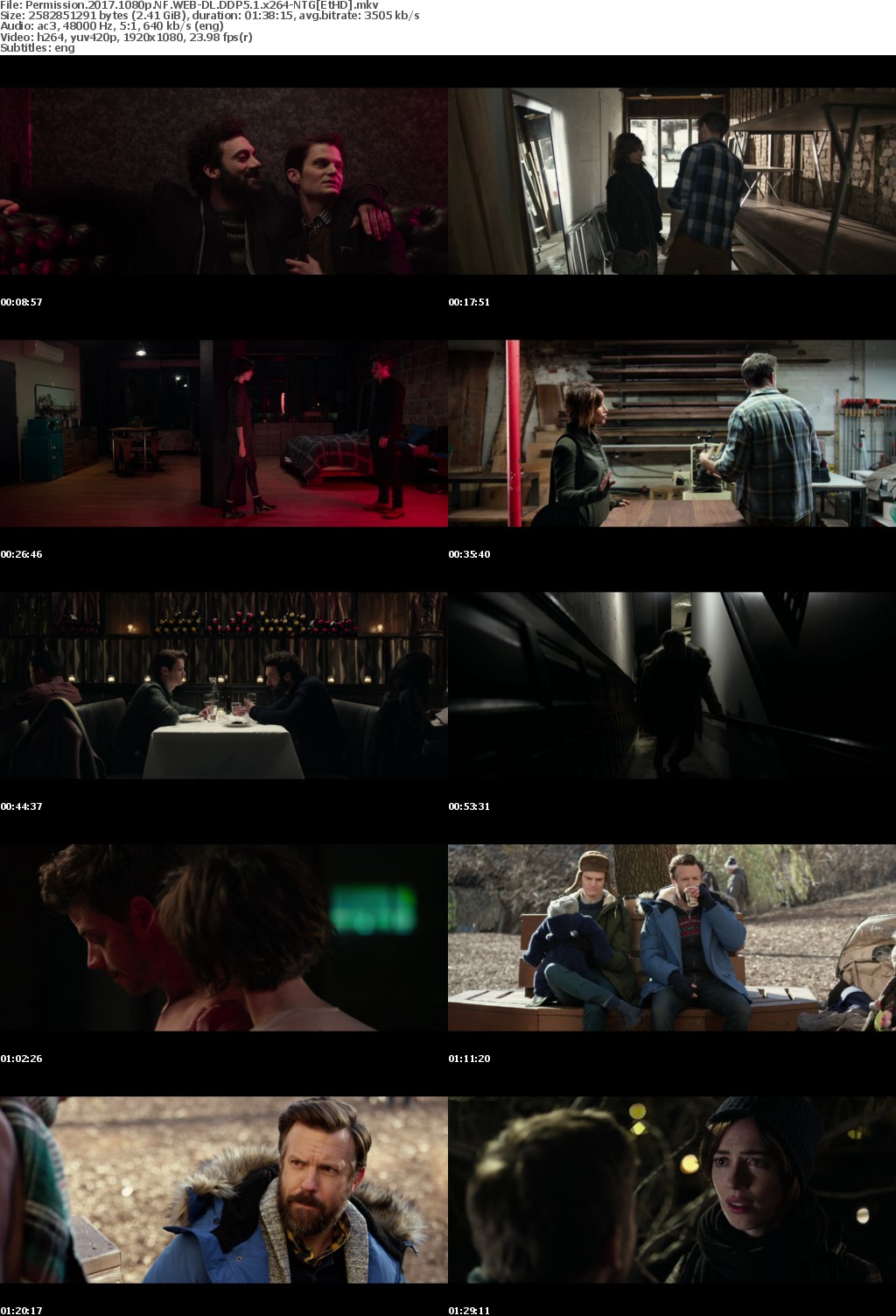 Permission (2017) 1080p NF WEB-DL DDP5.1 x264-NTGEtHD