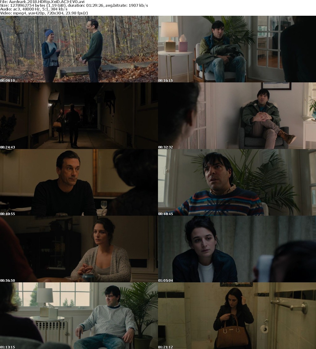 Aardvark (2018) HDRip XviD AC3-EVO