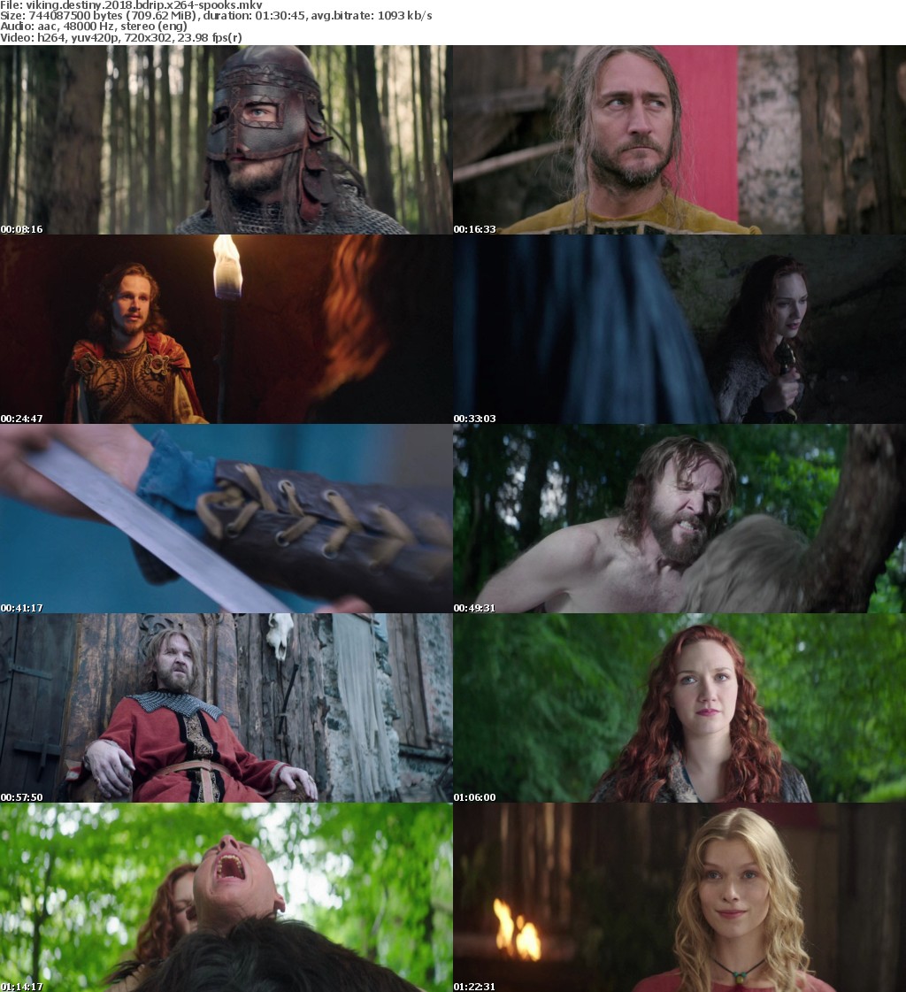 Viking Destiny (2018) BDRip x264-SPOOKS