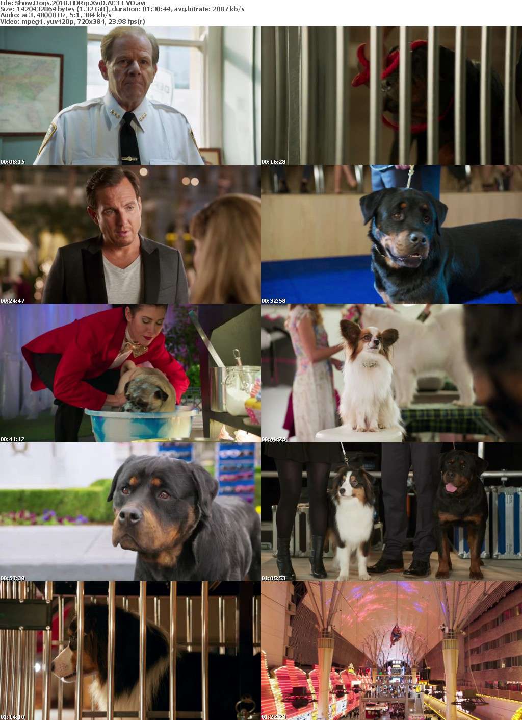 Show Dogs (2018) HDRip XviD AC3-EVO