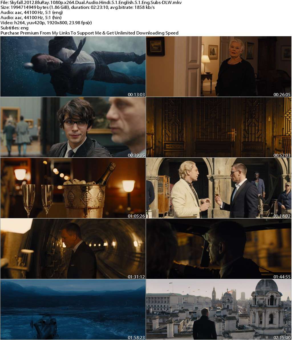 Skyfall (2012) 1080p BluRay x264 Dual Audio [Hindi 5.1+English 5.1] ESubs-DLW