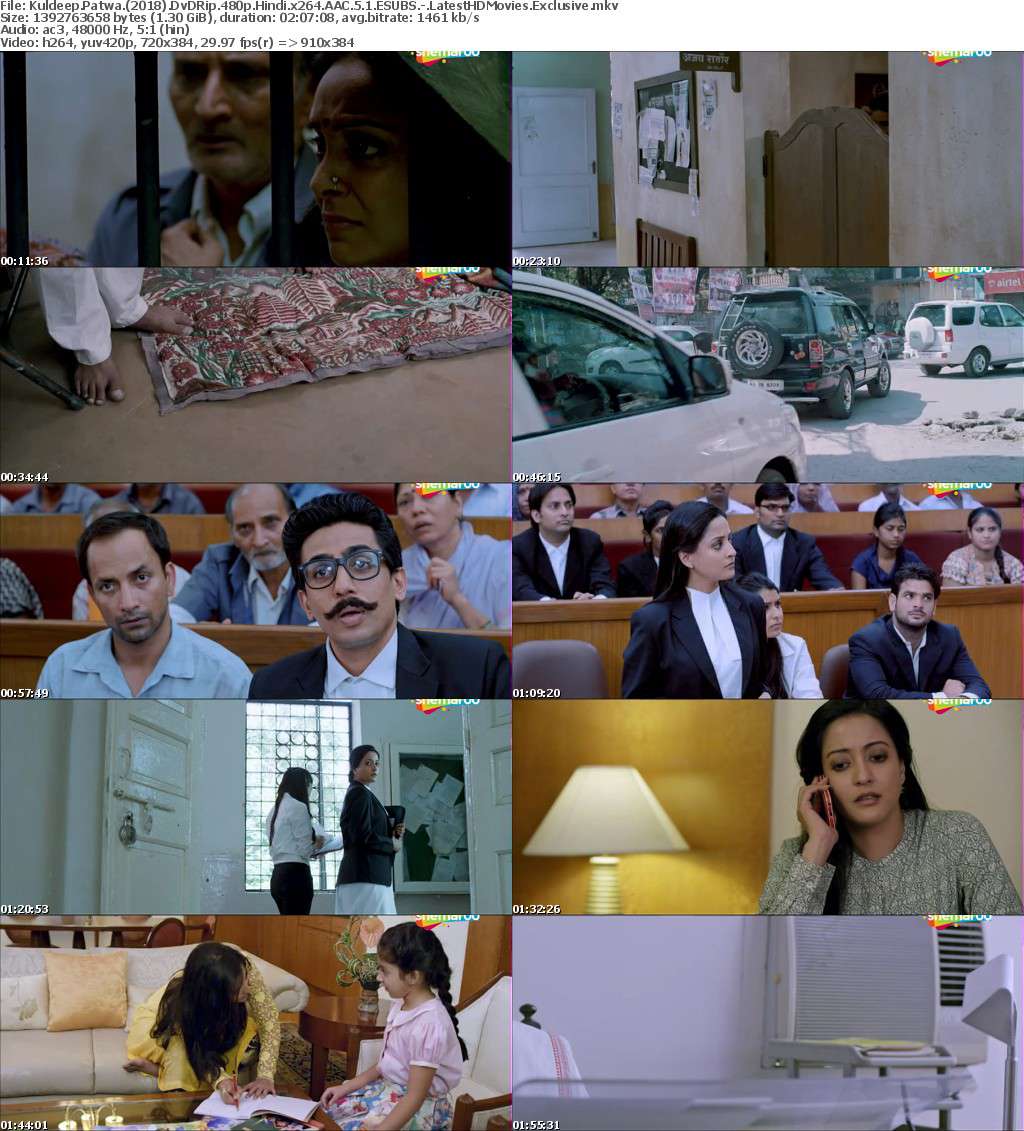 Kuldip Patwal I Didn't Do It (2017) Hindi 480p DvDRip x264 AAC 5.1 ESUBS-LHDM