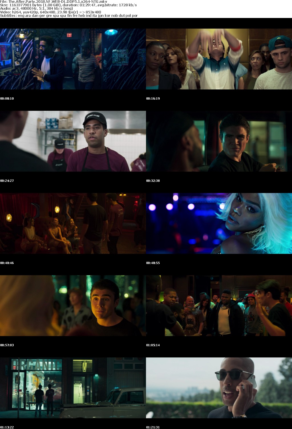 The After Party (2018) NF WEB-DL DDP5.1 x264-NTG