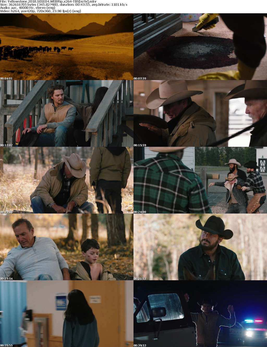 Yellowstone (2018) S01E04 WEBRip x264-TBS