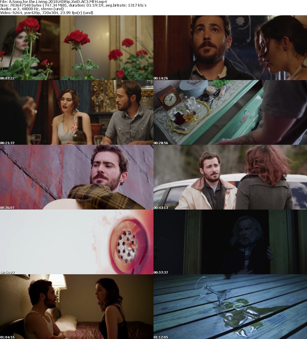 A Song for the Living (2018) HDRip XviD AC3 MFH