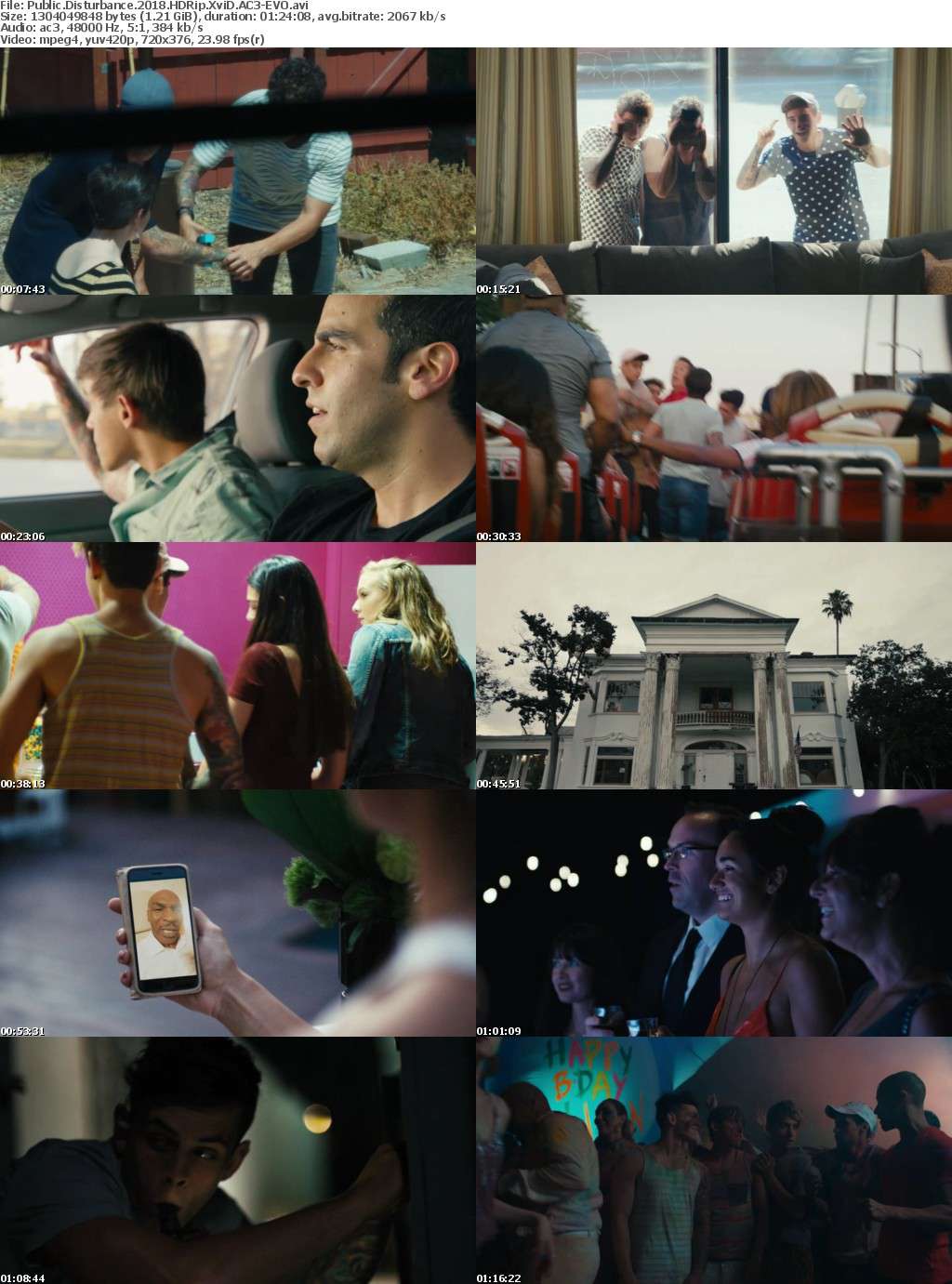 Public Disturbance (2018) HDRip XviD AC3-EVO