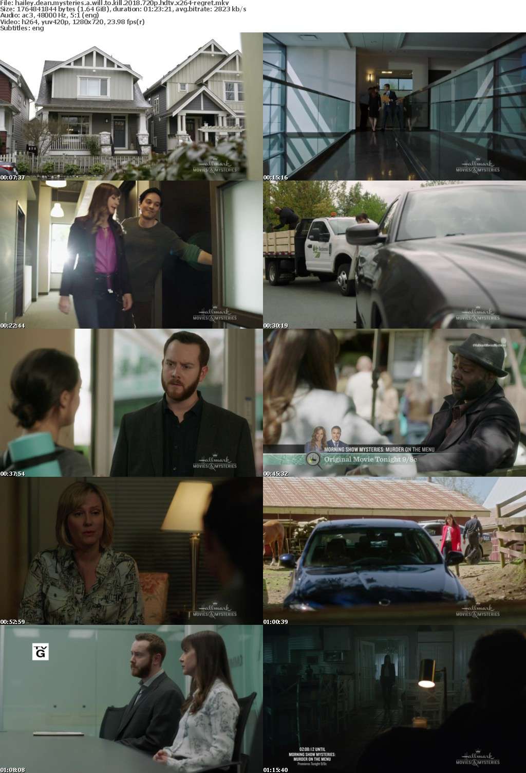 Hailey Dean Mysteries A Will to Kill (2018) 720p HDTV x264-REGRET