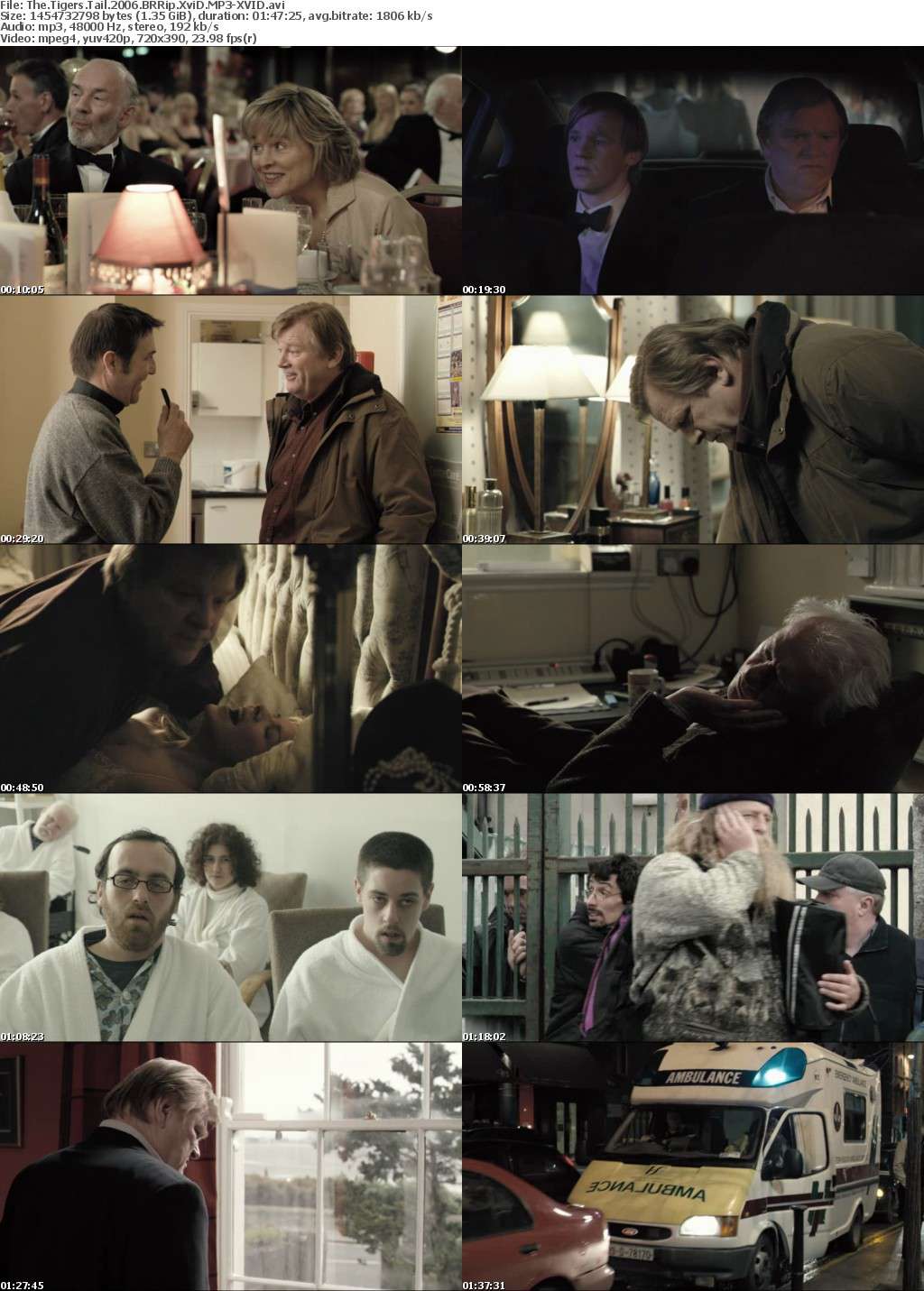 The Tigers Tail 2006 BRRip XviD MP3-XVID The Tigers Tail 2006 BRRip XviD MP3-XVID