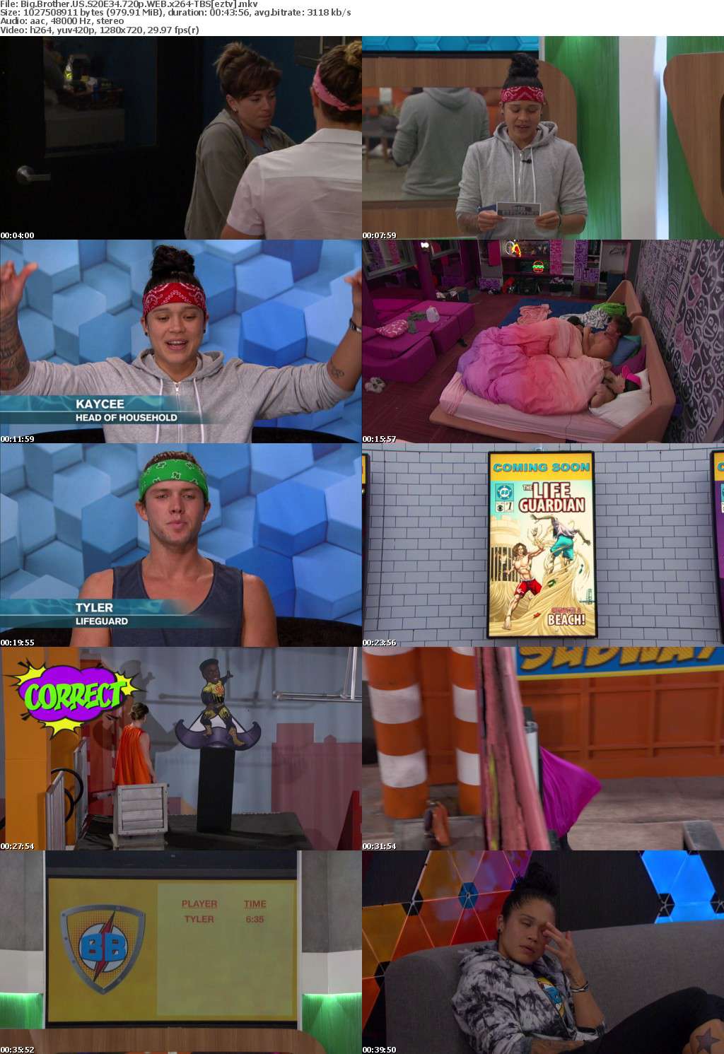 Big Brother US S20E34 720p WEB x264-TBS