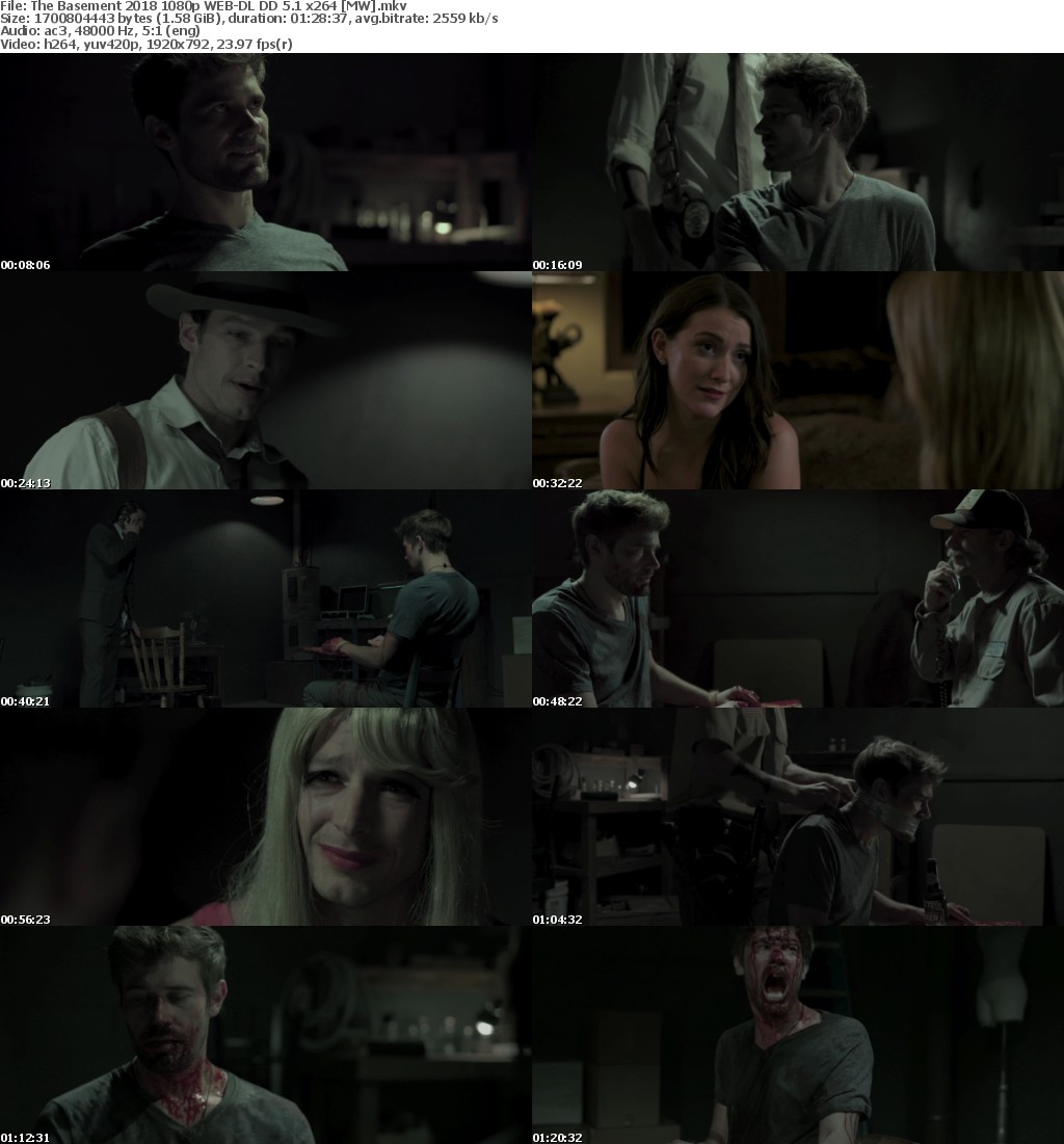 The Basement (2018) 1080p WEB-DL DD 5.1 x264 MW