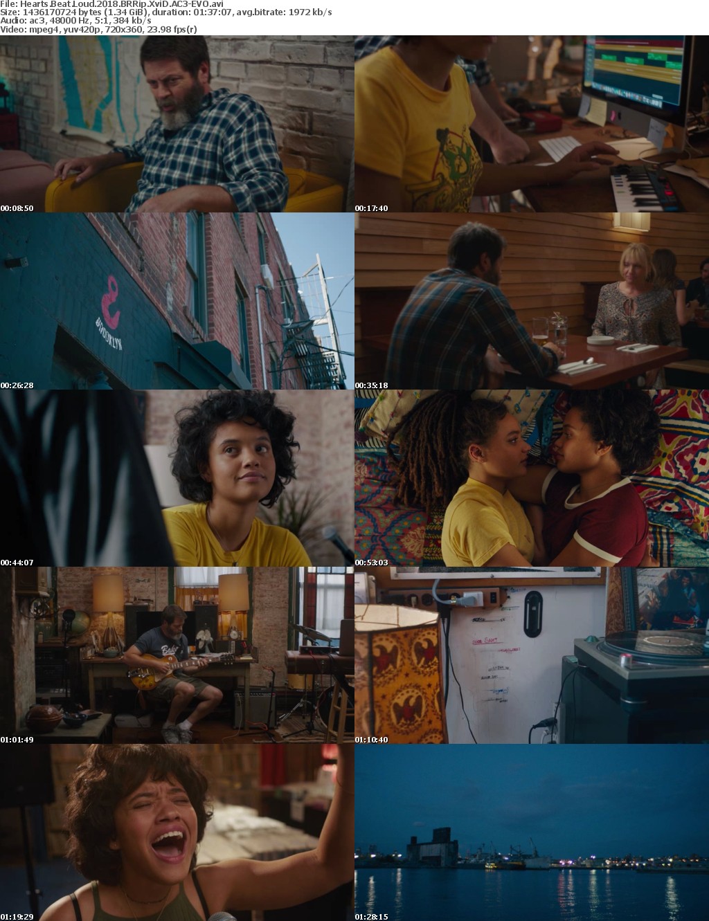 Hearts Beat Loud (2018) BRRip XviD AC3-EVO