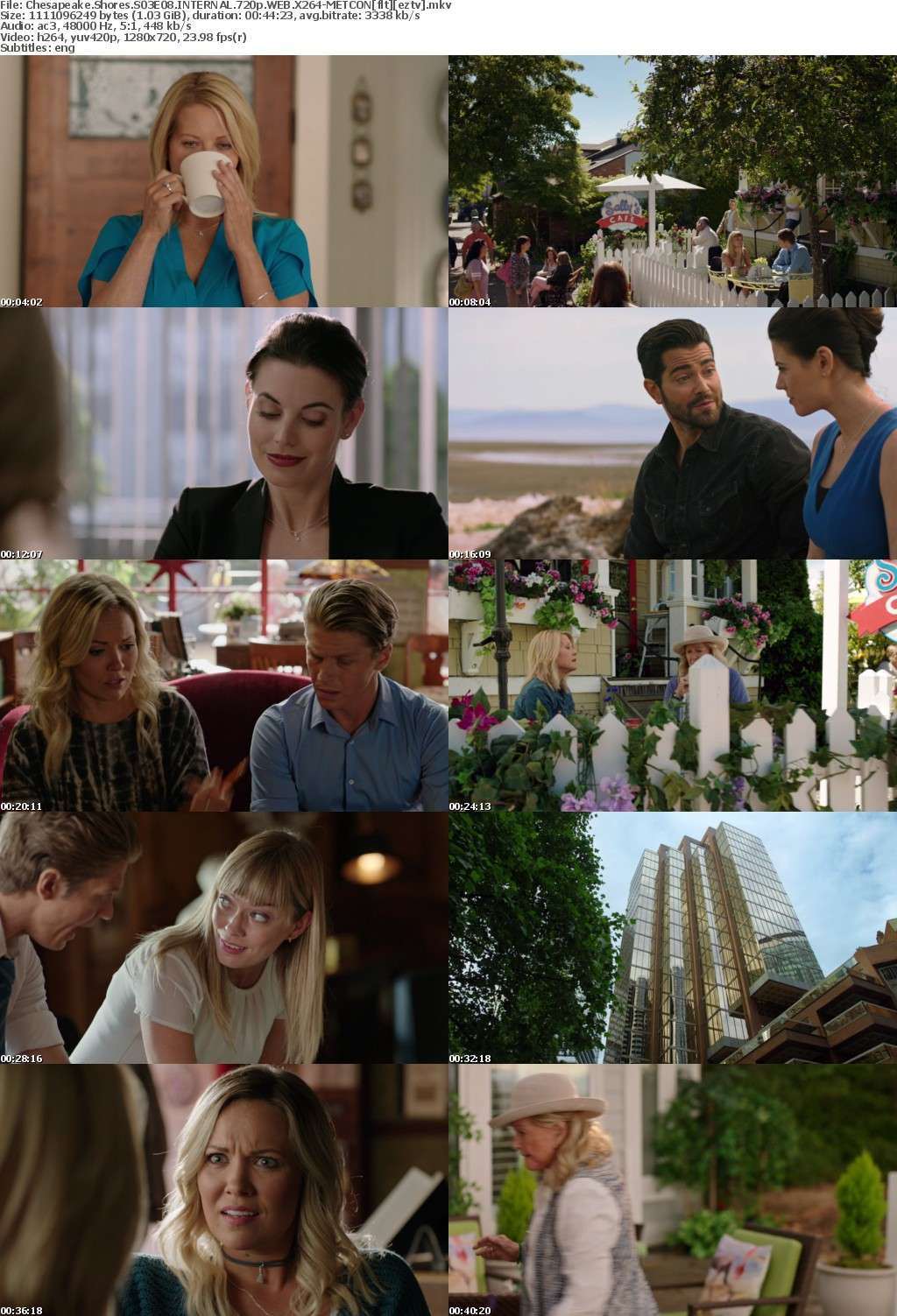 Chesapeake Shores S03E08 INTERNAL 720p WEB X264-METCONflt