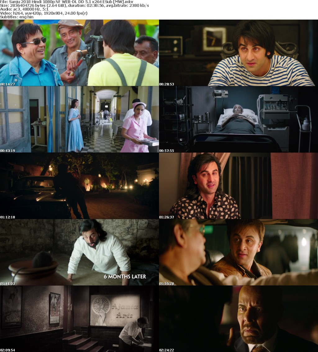 Sanju (2018) Hindi 1080p NF WEB-DL DD 5.1 x264 ESub MW