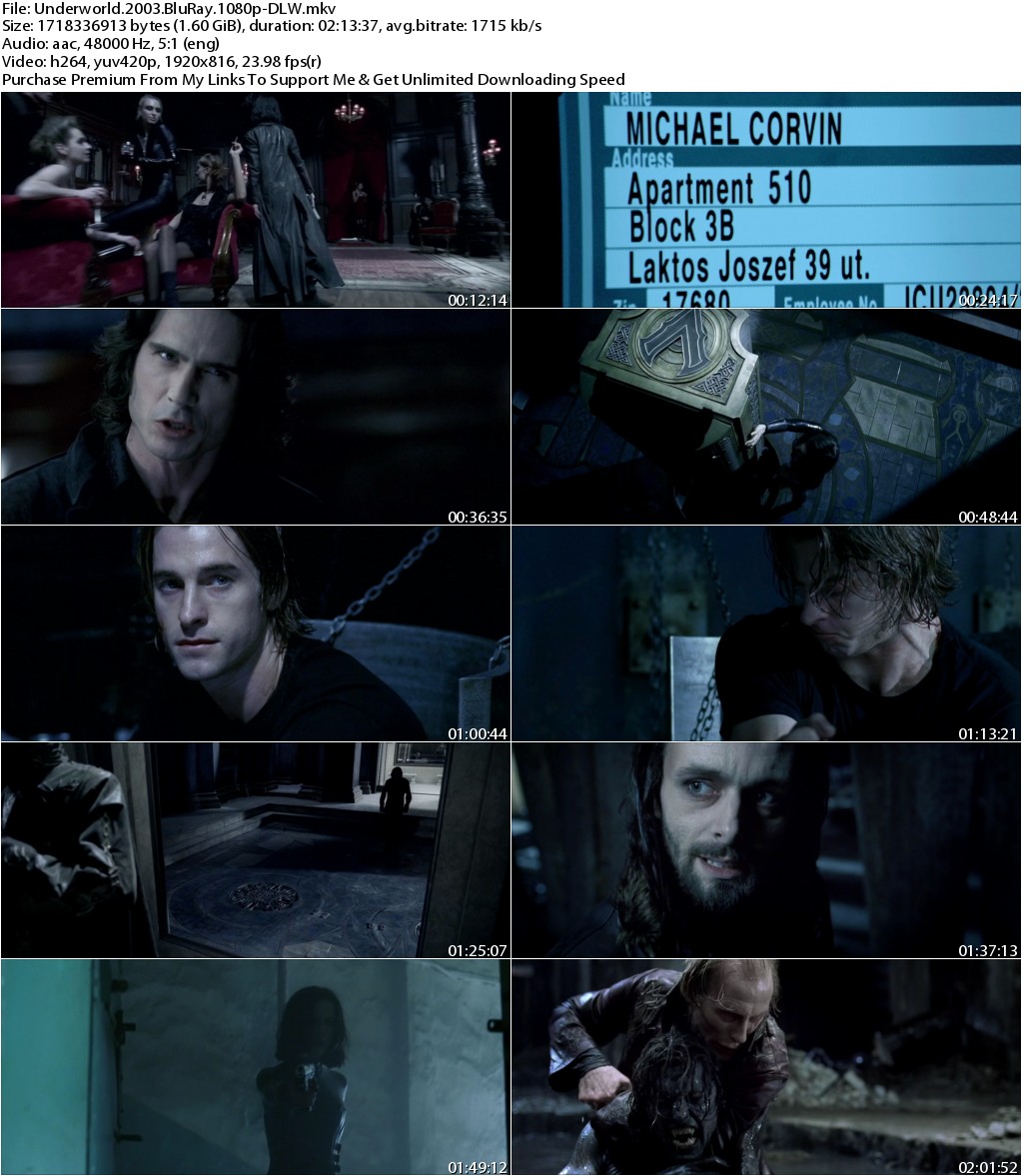 Underworld (2003) 1080p BluRay x264-DLW