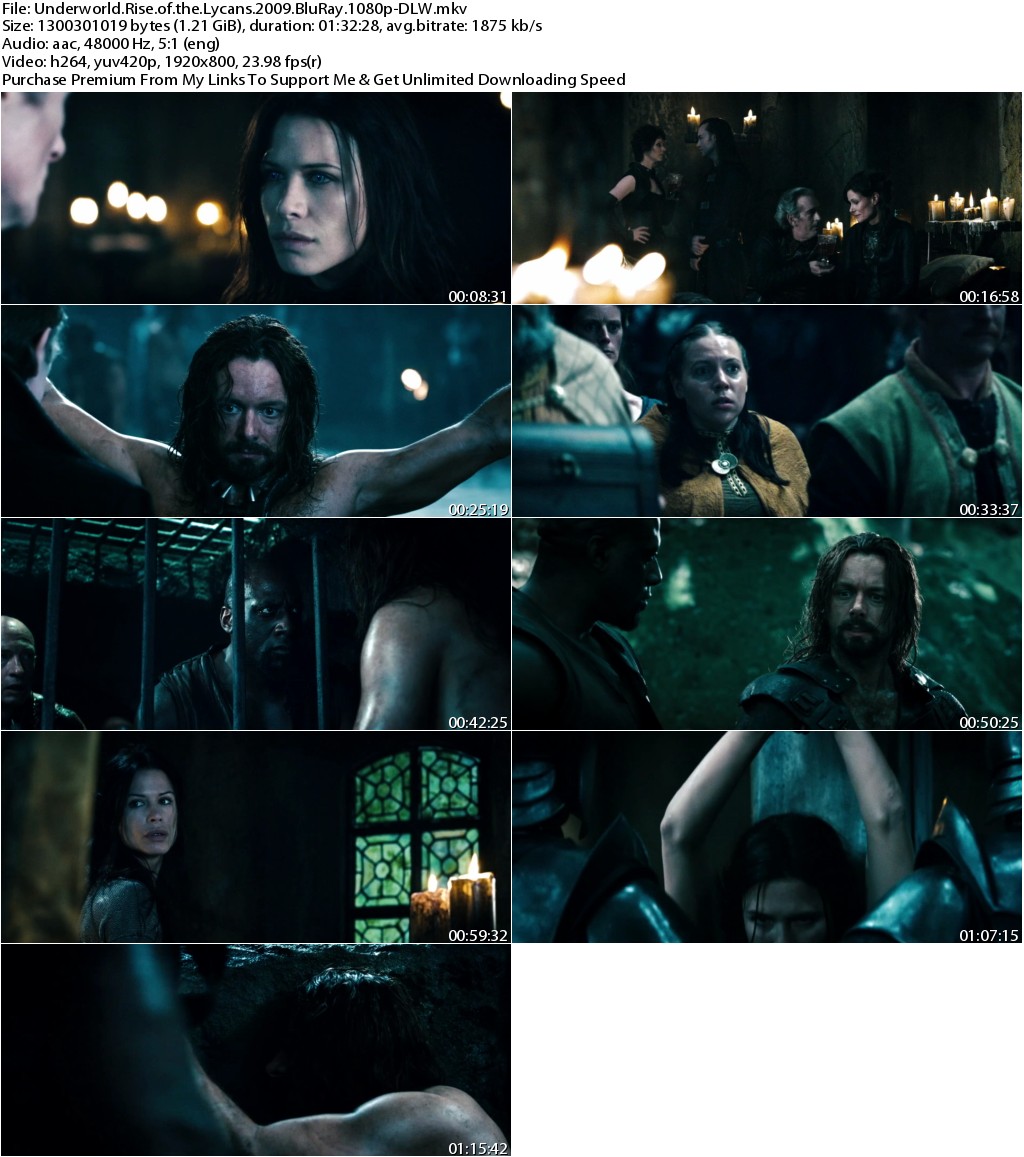 Underworld Rise of the Lycans (2009) 1080p BluRay x264-DLW