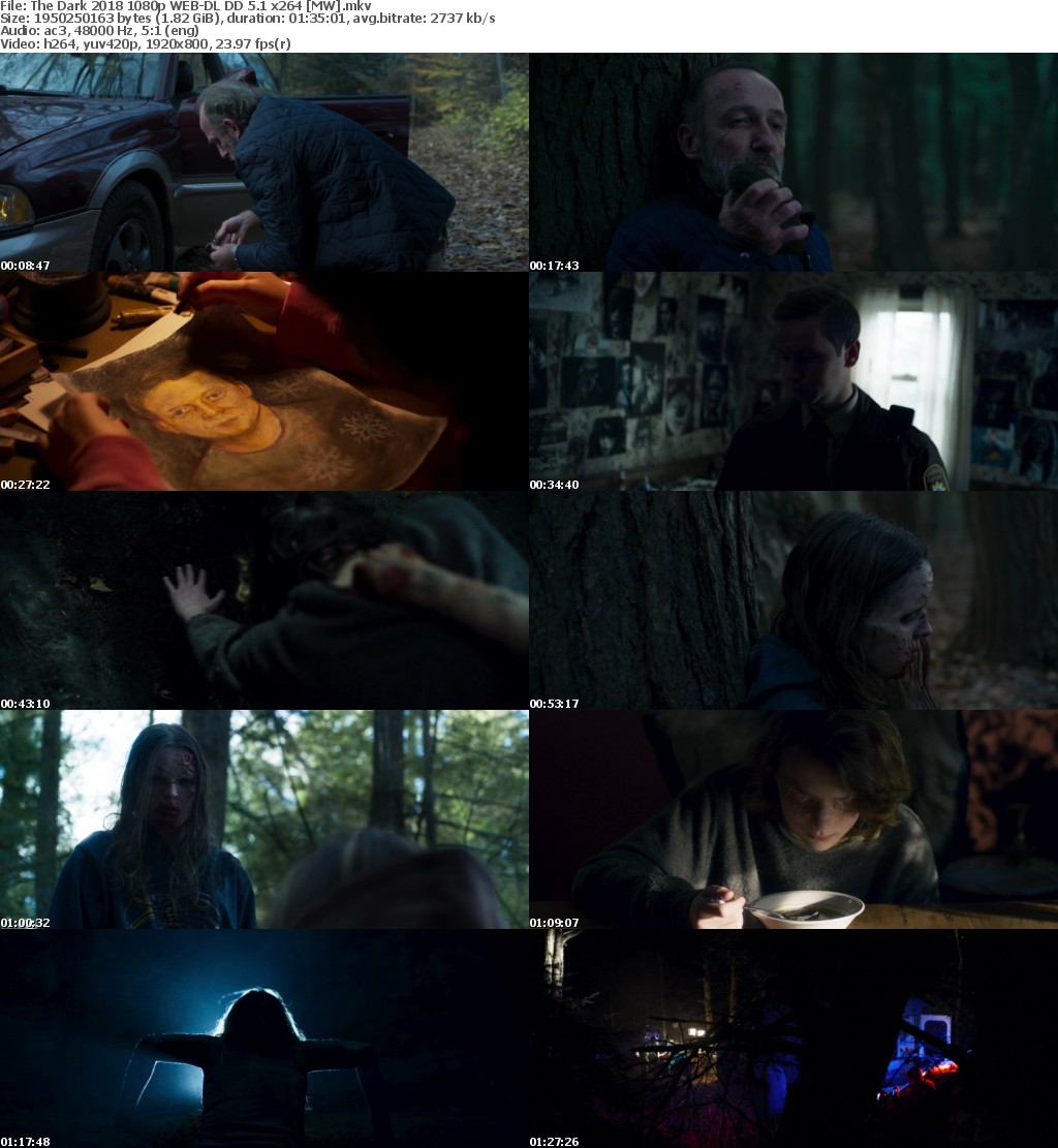 The Dark (2018) 1080p WEB-DL DD 5.1 x264 MW