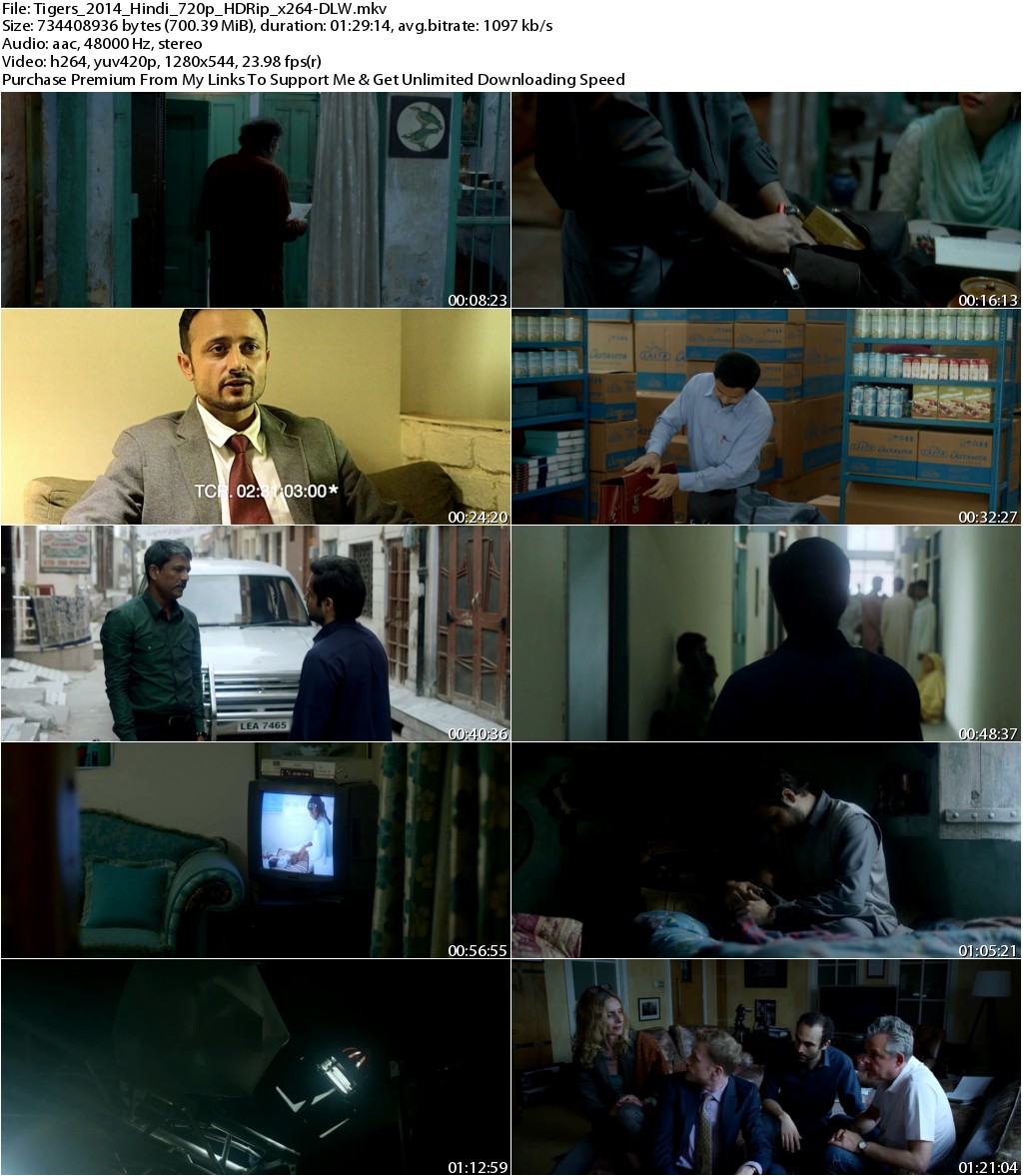 Tigers (2014) Hindi 720p HDRip x264-DLW