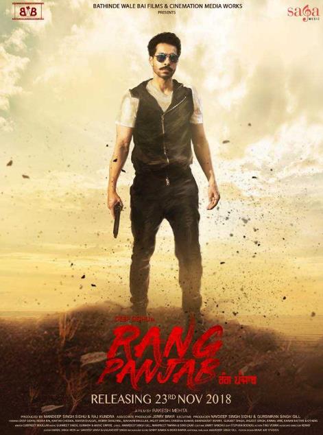 Rang Panjab (2018) Punjabi Pre-CAMRip x264-DLW