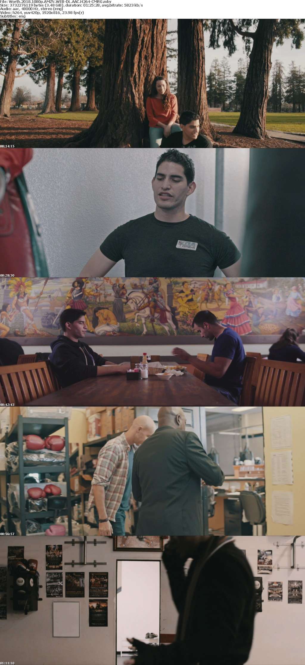 Worth 2018 1080p AMZN WEBRip AAC2 0 x264-CM Worth 2018 1080p AMZN WEBRip AAC2 0 x264-CM