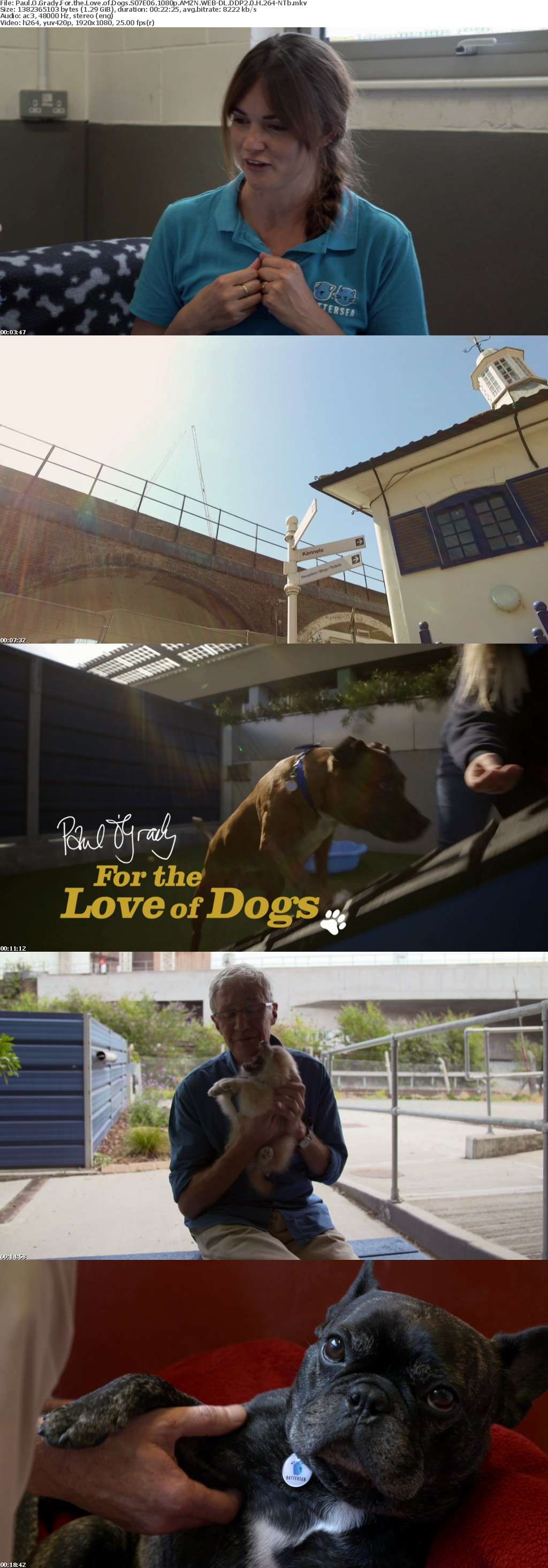 Paul O Grady For the Love of Dogs S07E06 1080p AMZN WEB-DL DDP2 0 H 264-NTb Paul O Grady For the Love of Dogs S07E06 1080p AMZN WEB-DL DDP2 0 H 264-NTb