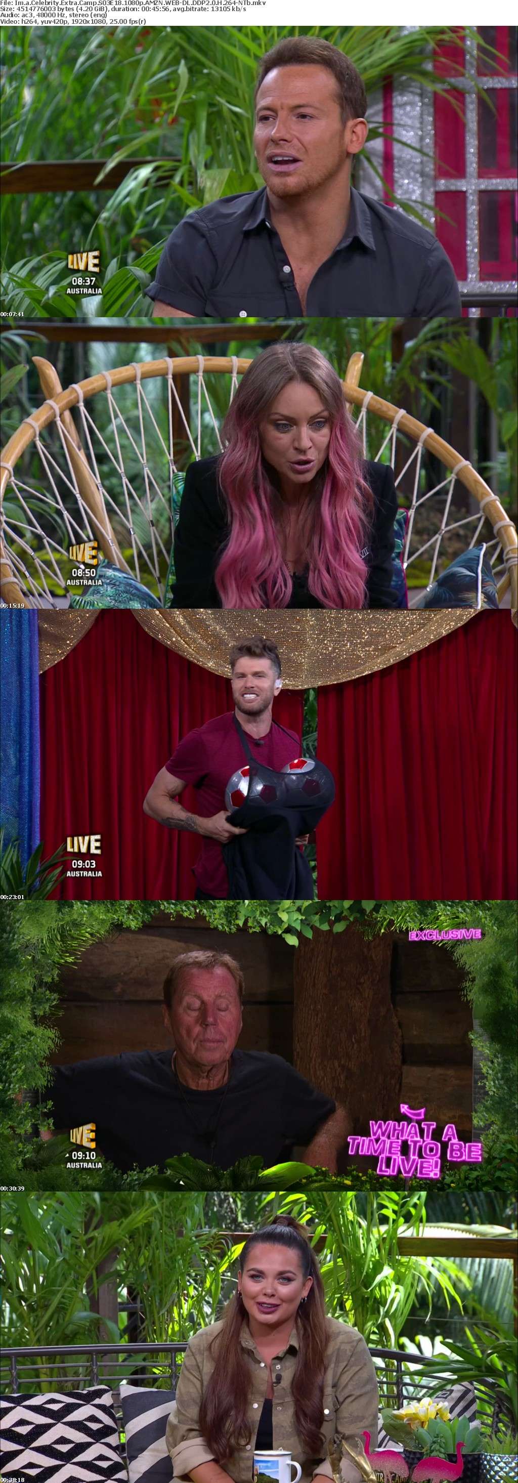 Im a Celebrity Extra Camp S03E18 1080p AMZN WEB-DL DDP2 0 H 264-NTb Im a Celebrity Extra Camp S03E18 1080p AMZN WEB-DL DDP2 0 H 264-NTb