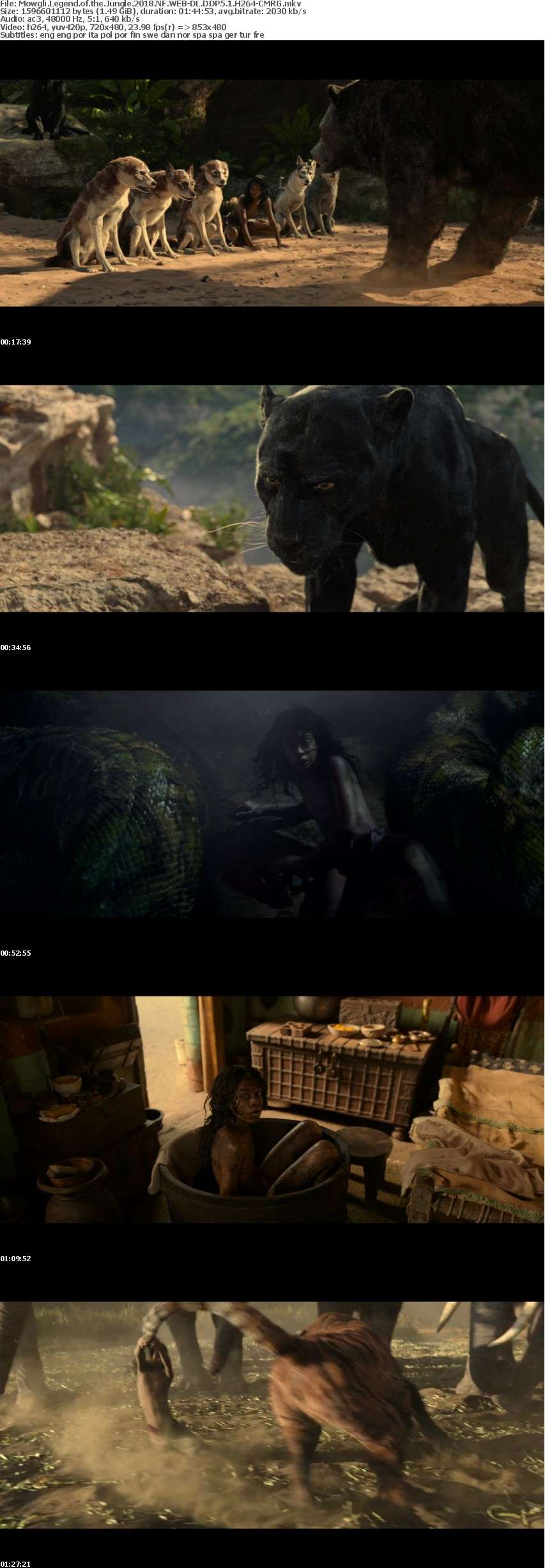 Mowgli Legend of the Jungle 2018 NF WEB-DL DDP5 1 H264-CMRG Mowgli Legend of the Jungle 2018 NF WEB-DL DDP5 1 H264-CMRG